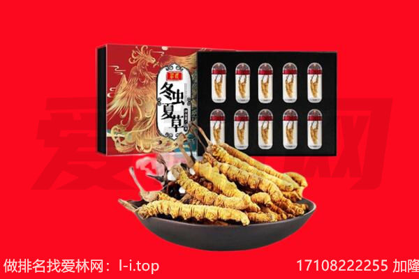 遂宁市大英回收虫草.jpg